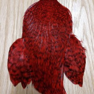 Whiting 4 B's Rooster Cape